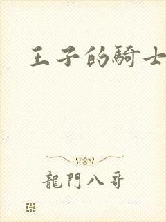 王子的骑士小说
