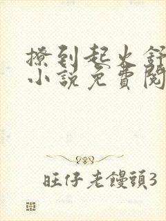 撩到起火舒漾的小说免费阅读全文