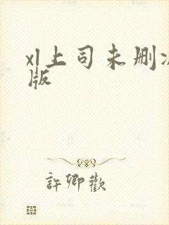 xl上司未删减版