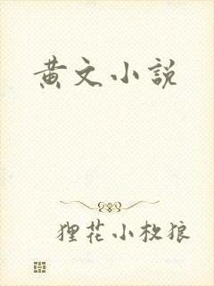 黄文小说