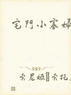 宅门小寡妇