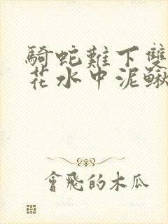 骑蛇难下双金银花水中泥鳅双男主