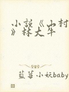 小说《山村情事》林大牛