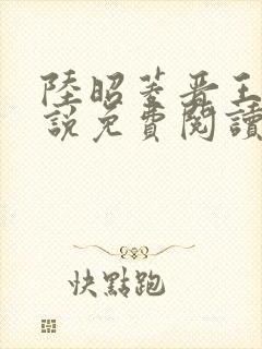 陆昭菱晋王的小说免费阅读