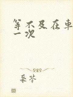 等不及在车里做一次