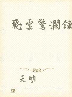 飞云惊澜录