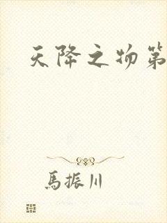 天降之物第一季