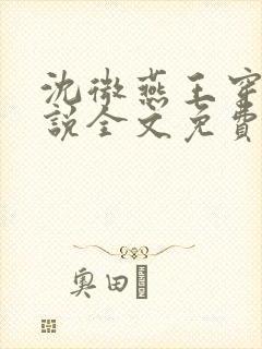 沈微燕王穿越小说全文免费阅读