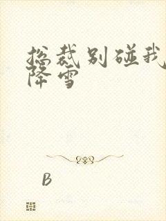 总裁别碰我 韩降雪