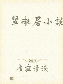 翠微居小说