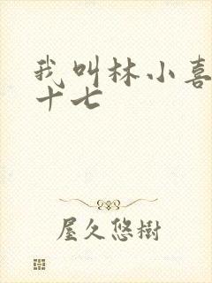 我叫林小喜今年十七