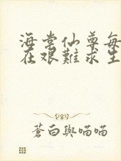 海棠仙尊每天都在艰难求生