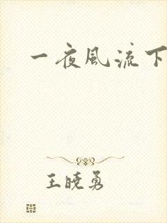 一夜风流下载