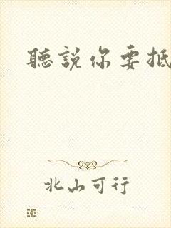 听说你要抵抗我