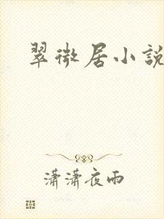 翠微居小说
