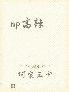 np高辣