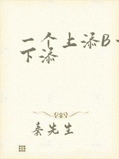 一个上添B一个下添