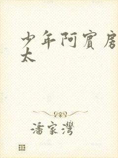 少年阿宾房东太太