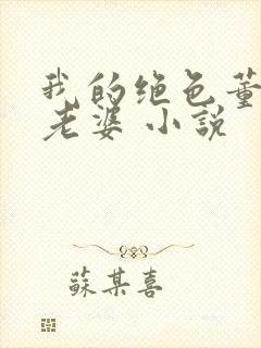 我的绝色董事长老婆 小说