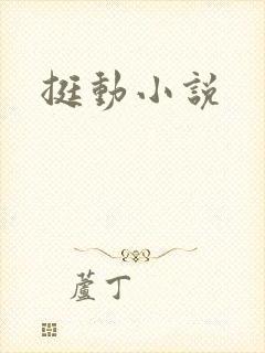 挺动小说
