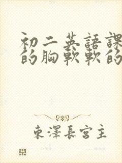 初二英语课代表的胸软软的