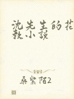 沈先生的花式管教小说