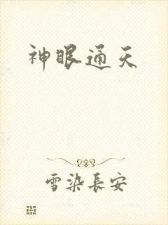 神眼通天封面