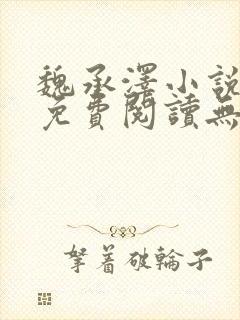 魏承泽小说全文免费阅读无弹窗笔趣