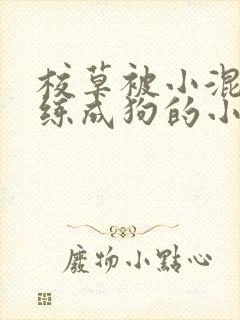 校草被小混混训练成狗的小说