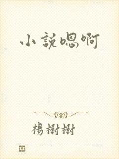 小说嗯啊