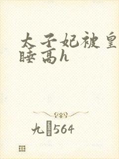 太子妃被皇上强睡高h