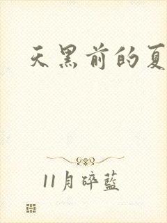 天黑前的夏天
