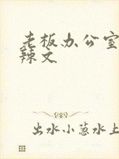 老板办公室系列辣文