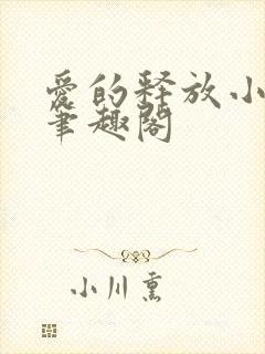 爱的释放小说 笔趣阁