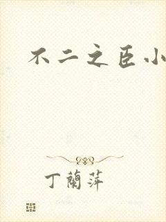 不二之臣小说