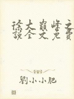 徐大巅峰之路小说全文免费阅读