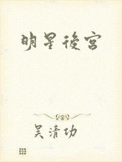 明星后宫