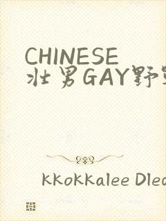 CHINESE壮男GAY野战强迫TUBE