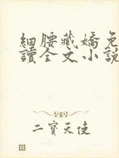 细腰藏娇免费阅读全文小说苏珞浅