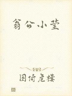 翁公小莹
