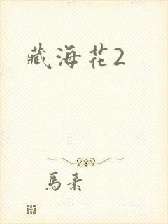藏海花2