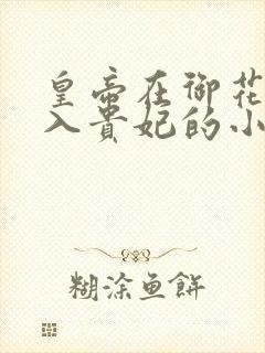 皇帝在御花园进入贵妃的小说