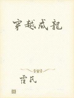 穿越成龙