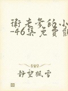 卫老爹的小船1-46集免费观看