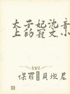 太子妃沈音和皇上的宠文小说