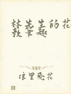 林先生的花式管教笔趣