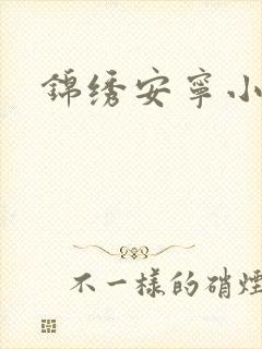 锦绣安宁小说封面