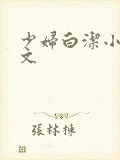 少妇白洁小说全文