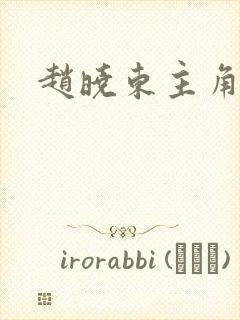 赵晓东主角小说