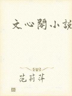 文心阁小说